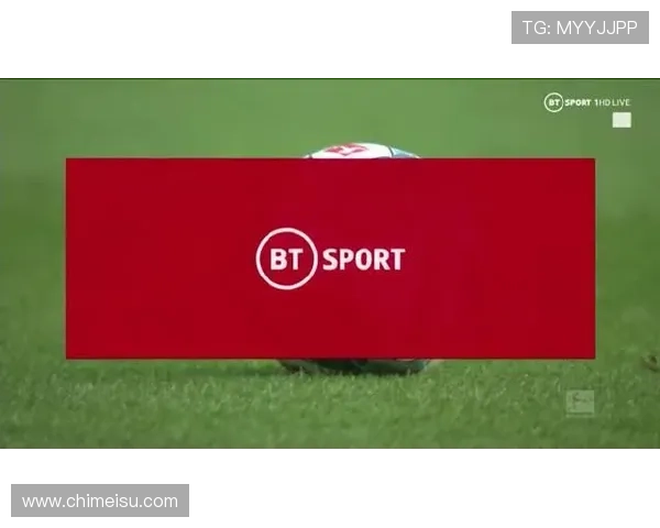 开云娱乐网站支持勒沃库森的赞助计划如何增强球队的竞争力与粉丝粘性